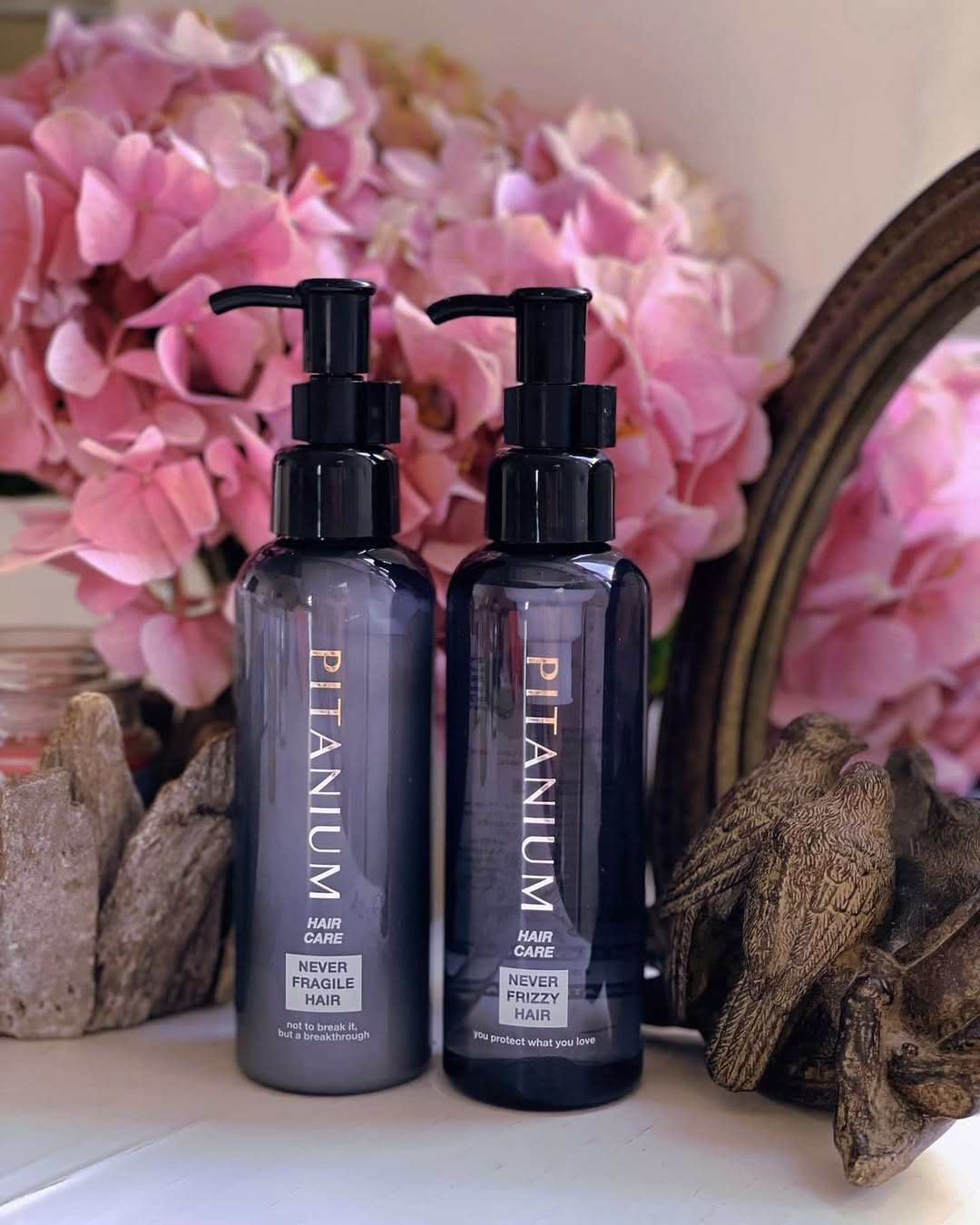 PITANIUM lifestyle 2